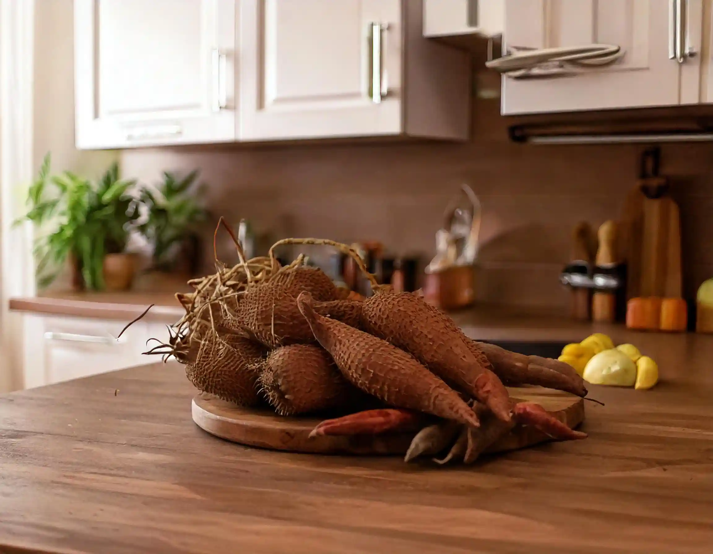 épices oubliées de la cuisine française